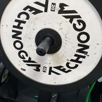 Dischi 20kg technogym