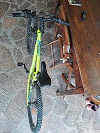 Bicicletta da 24'