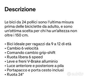 Bicicletta Cannellini