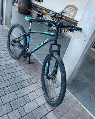 bicicletta
