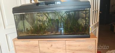 acquario 100 litri 