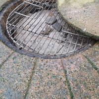 barbecue in pietra 100x100