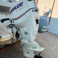 Evinrude 115 cv