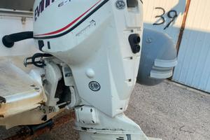 Evinrude 115 cv
