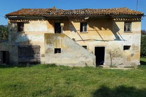 COLONICA MARCHIGIANA