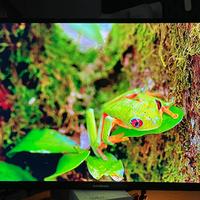 Tv 32 pollici Full HD