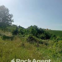 TERRENO AGRICOLO CON POTENZIALE EDIFICATORIO E VIT