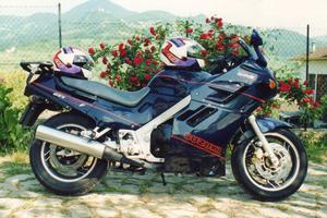 SUZUKI GSX 1100 F del 1988