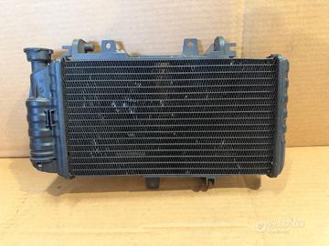 Radiatore Acqua Bmw F 800 GS - F 800 R - F 800 S