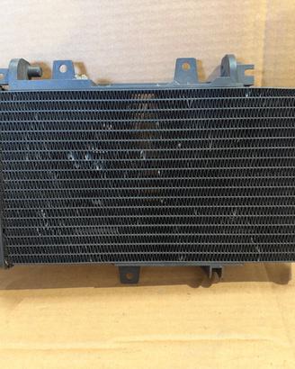 Radiatore Acqua Bmw F 800 GS - F 800 R - F 800 S