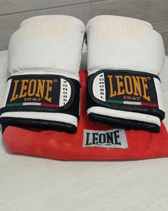 Guantoni Leone