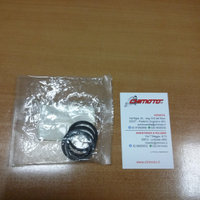 T2020505 Kit Revisione Pinza Triumph 2 Pistoncini