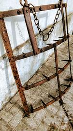 2 ERPICE FRANGIZOLLE CHIODATO PICCOLO E GRANDE 