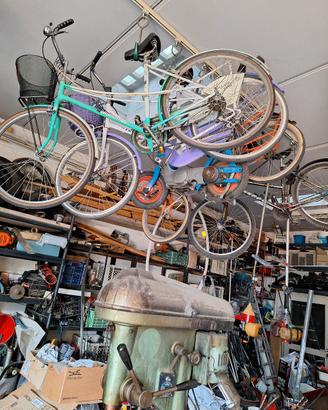 biciclette a scelta 