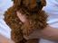 Immagine 3