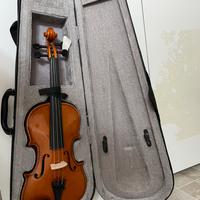 Violino