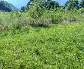 Terreno agricolo