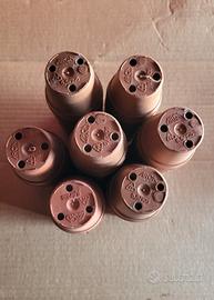 100 vasetti ARCA 5,5cm per piantine grasse 
