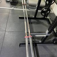 Bilancieri Olimpici Diamond Professional 220cm.