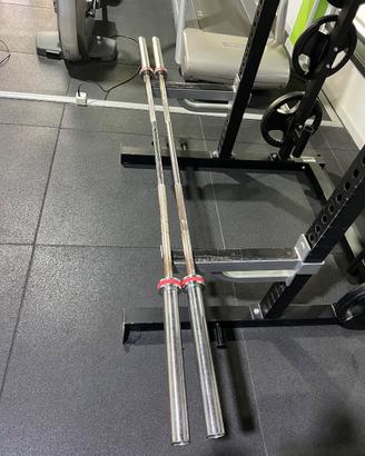 Bilancieri Olimpici Diamond Professional 220cm.