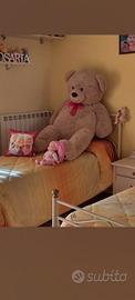 Orso gigante