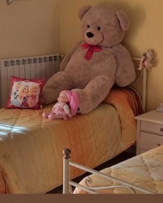 Orso gigante