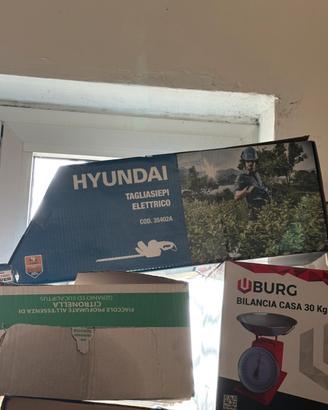 Tagliasiepi elettrico Hyundai