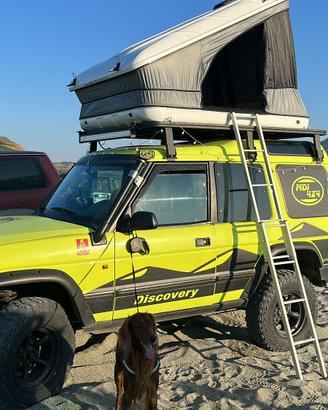 Land Rover Discovery Td300