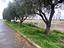 Immagine 14