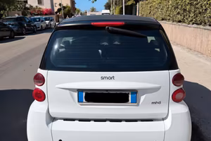 Smart 2008
