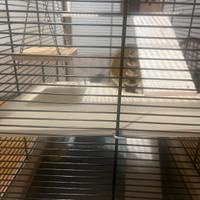 Gabbia criceti Ferplat di legno