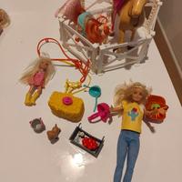 Barbie Ranch Chelsea