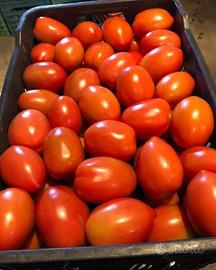Pomodori san marzano e ciliegino