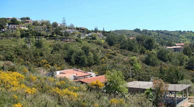 Terreno edificabile con progetto approvato albergo