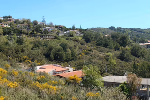 Terreno edificabile con progetto approvato albergo