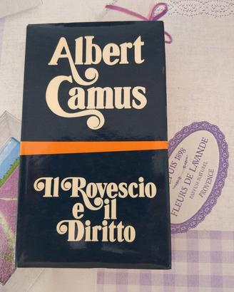 Albert Camus - Il rovescio e il diritto 