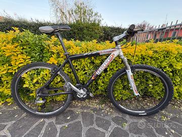 Bicicletta DeFranceschi Uomo