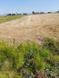 Terreno Villa literno