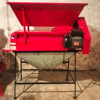 Pigiadiraspatrice uva