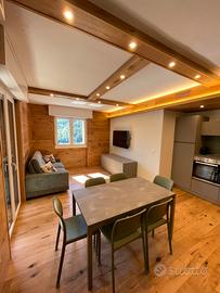 Appartamento Skyline Aprica