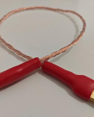 cavo per musica liquida hifi  (usb) salaantonio 