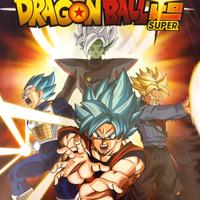 Dragon Ball Super Lamincard Diramix 2018 Carte