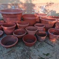 vasi in plastica per fiori e limoni