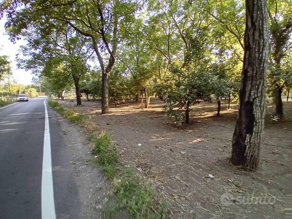 Terreno di 3537 m² a San Gennaro Vesuviano - Altro