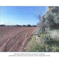 Terreno Agricolo Nuraminis [A4247088]