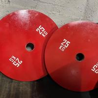 Coppia Dischi 25kg powerlifting