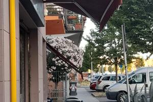 Ristobar