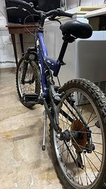 Bicicletta