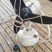 Ventilatore da tavolo Marelli