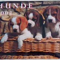 Calendario illustrato cani Hunde 2003 35 x 28 cm